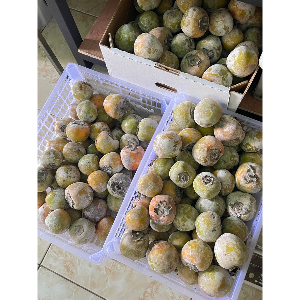 kesemek persimon 1kg
