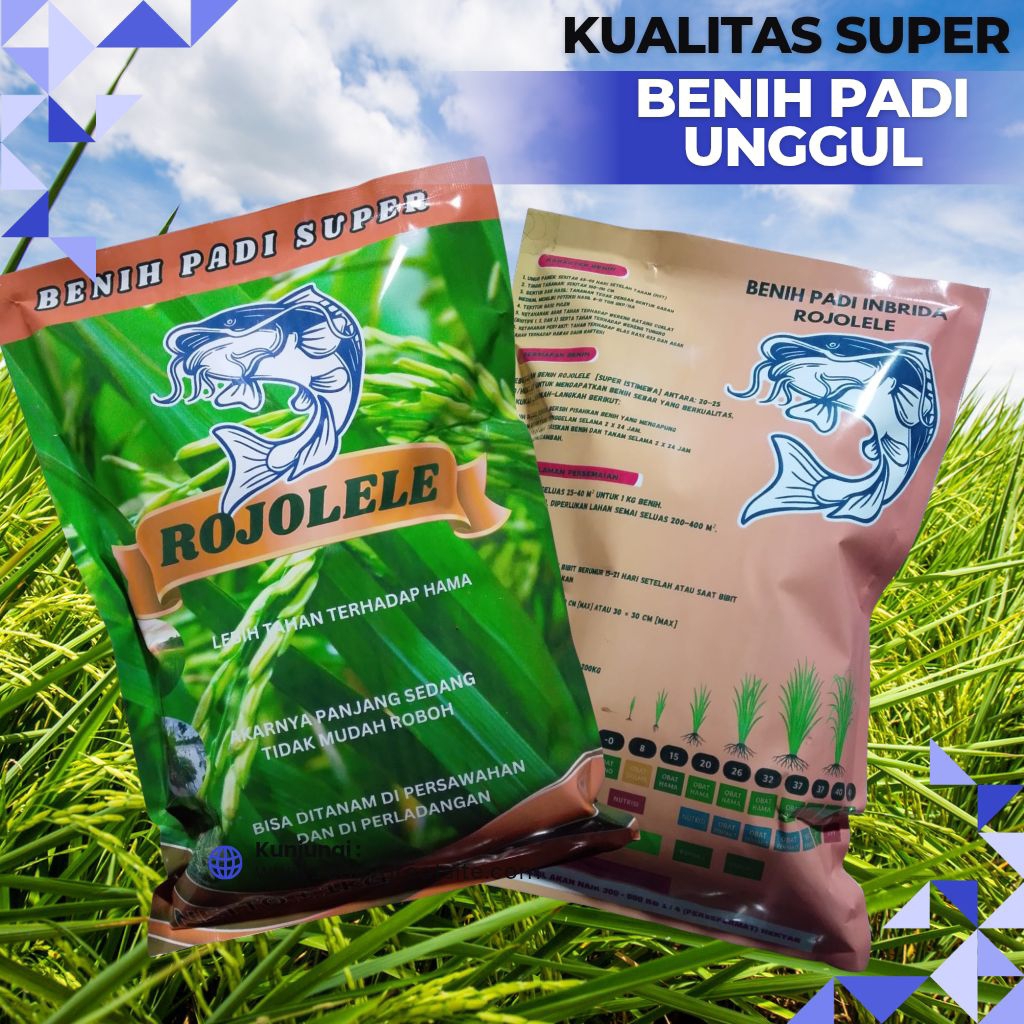 (1kg) Bibit padi Rojolele Benih kualitas super premium