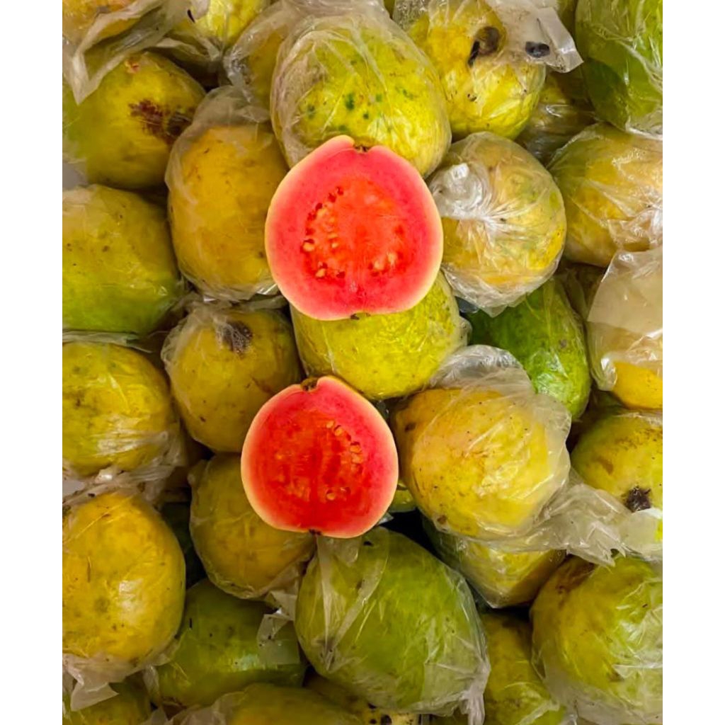 JAMBU MERAH 1KG