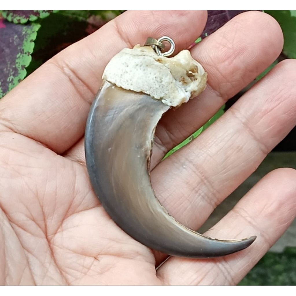 Natural Liontin Kuber Asli Jumbo