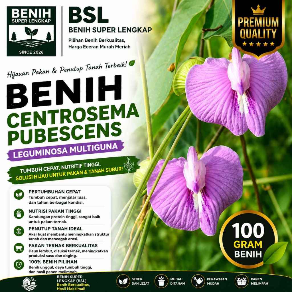 ( 100 Gram ) Benih Biji Centrosema Pubescens | Centro | Kacang Sentro | UKI BIBIT