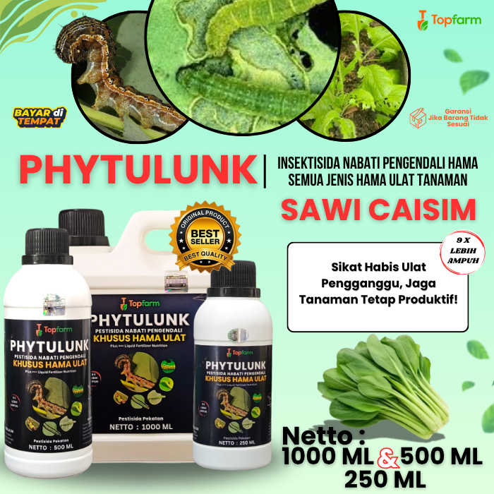 Obat Ulat Daun Sawi Caisim / Insektisida Pembasmi Hama Pemakan Daun / Obat Semprot Hama Sawi Caisim 