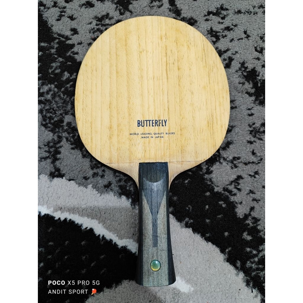 Timo Boll Alc