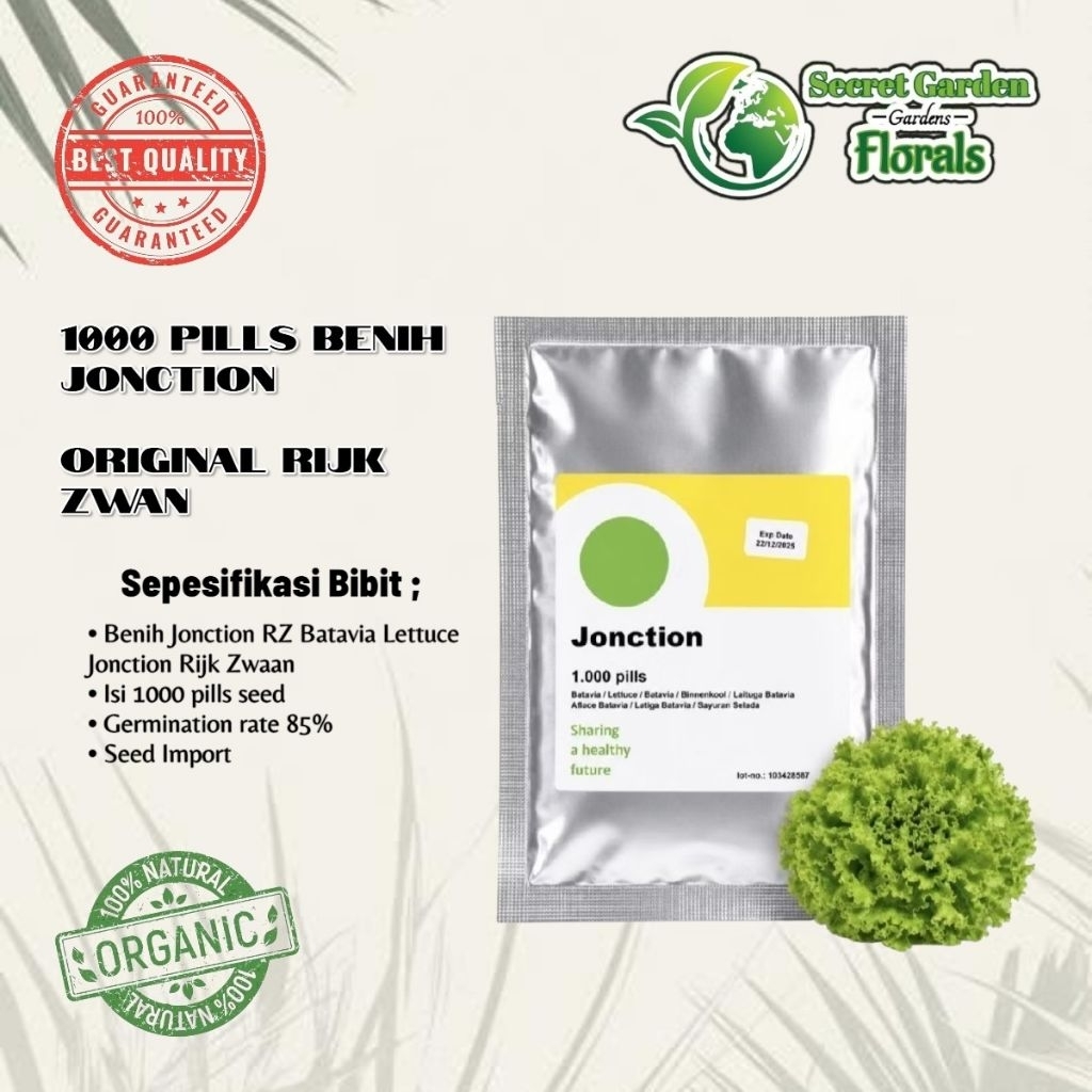 Benih Bibit Selada Junction Rz 1000 Pills Original Pabrik