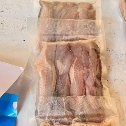 Ikan Lele Fillet Vacuum