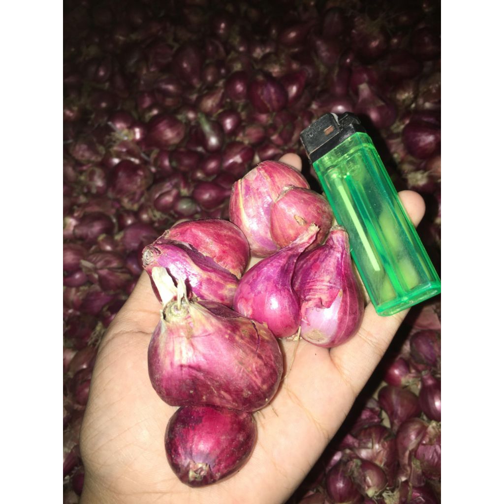 Bawang merah lokal 1kg/bawang putih 1kg