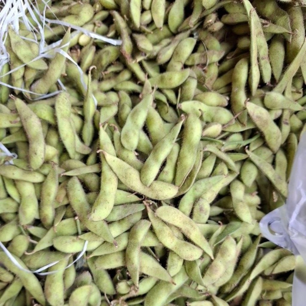 Edamame curah superan/Edamame kedelai jepang