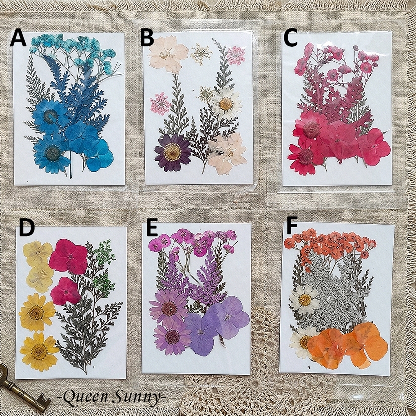 Bunga Kering Set/Real Pressed Flower Mix Natural Dried Topping Resin Casing HP