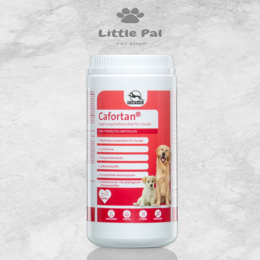 Fortan Cafortan 1000 Gr