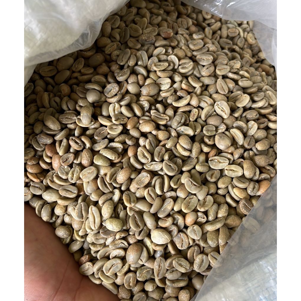 Coffe Green Beans Arabica Single Origin Puntang