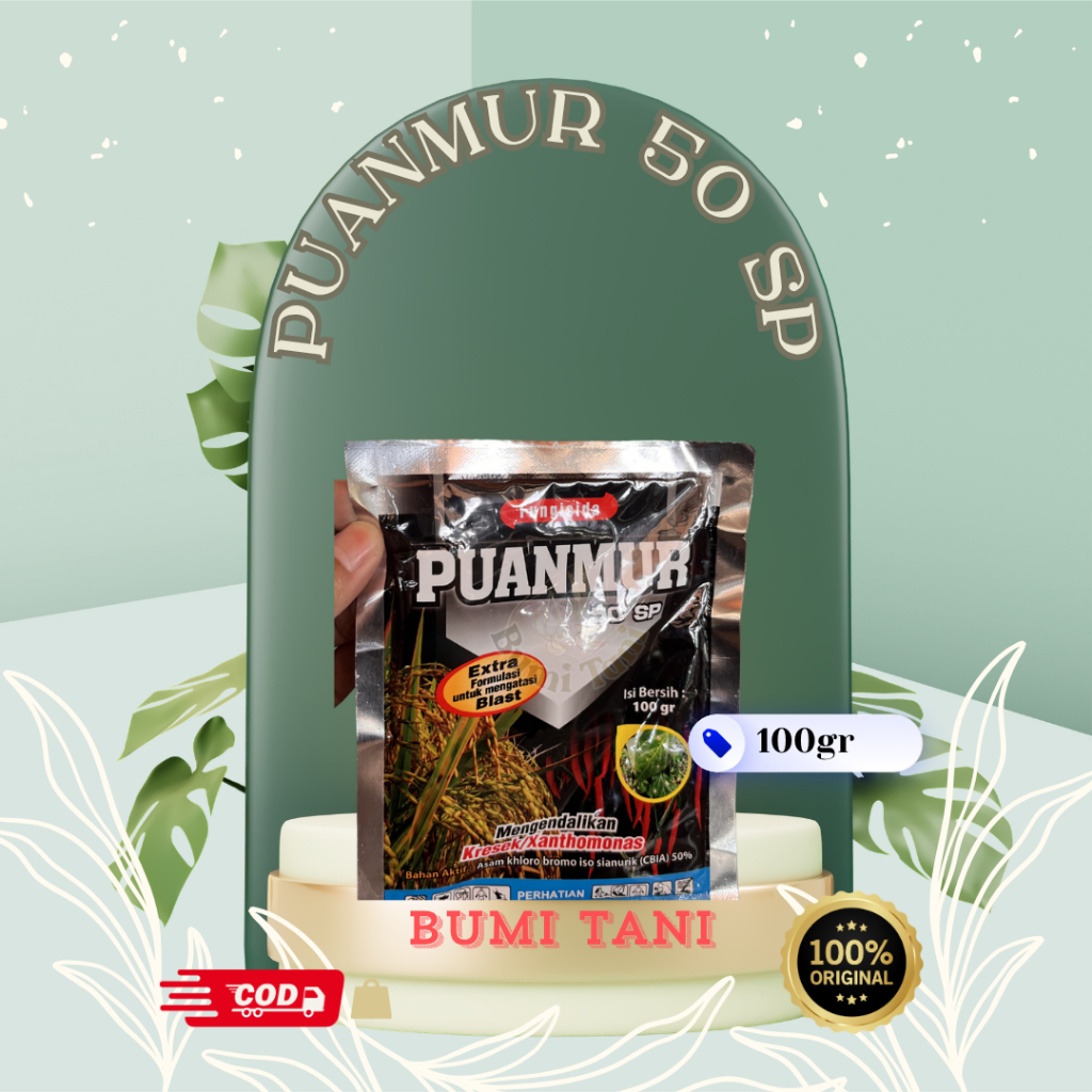 Puanmur 50 SP 100gr