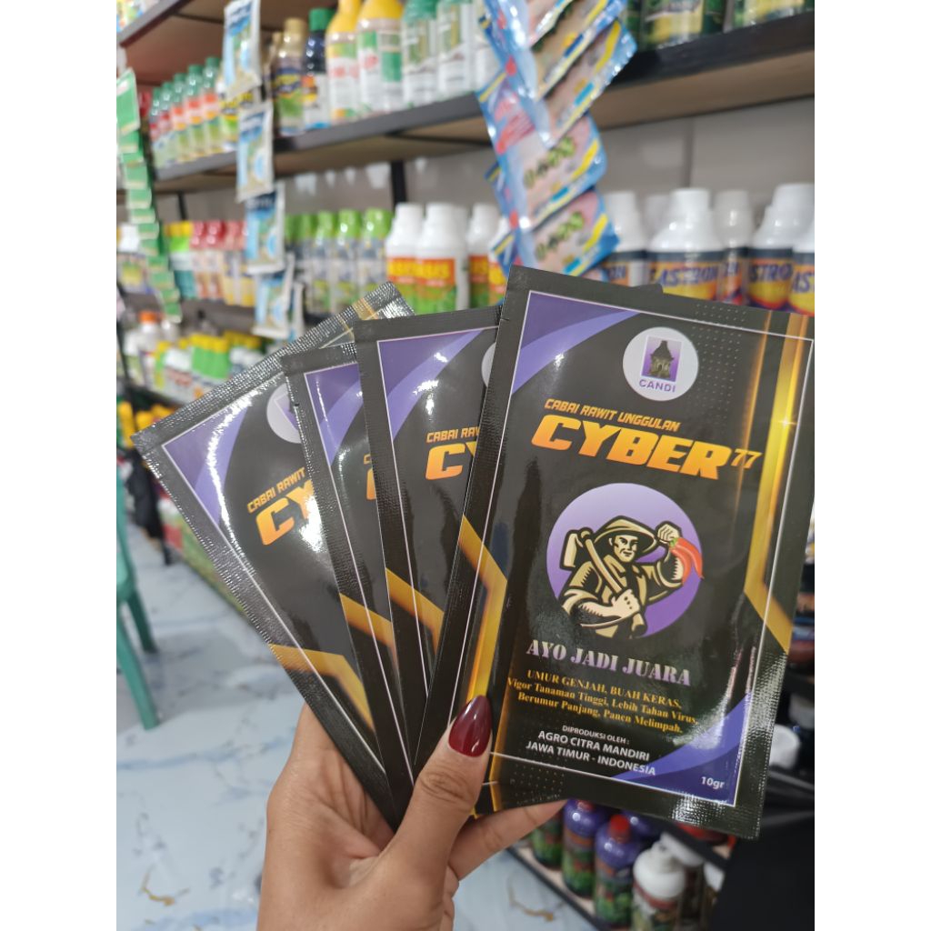 Cabai rawit unggulan CYBER 77