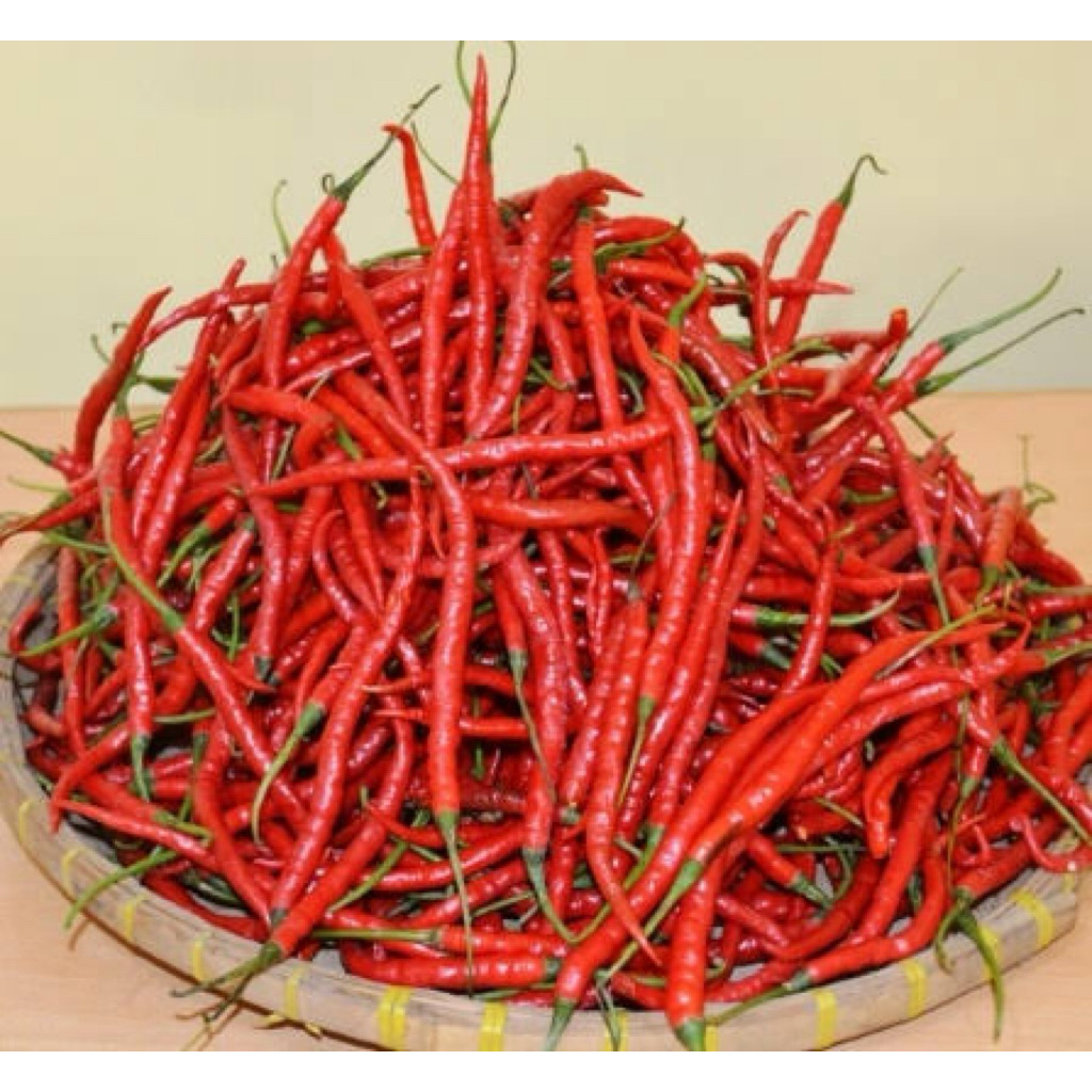Cabai Merah Besar 1 Kg - Kaya Vitamin C, Tingkatkan Daya Tahan Tubuh cabe kerting merah 1kg cabe mer