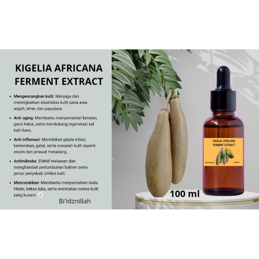 KIGELIA AFRICANA FERMENT Extract 100 ml