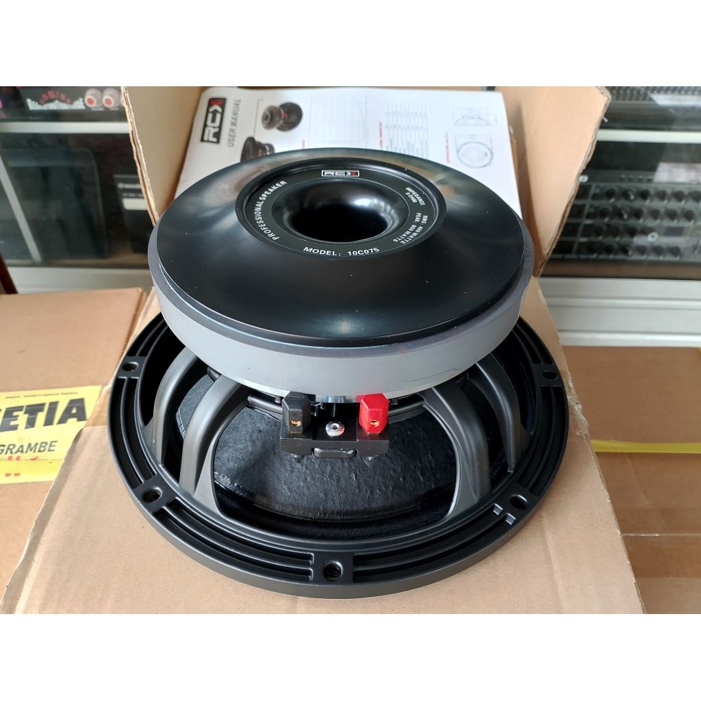 SPEAKER 10 INCH RCX 10C075