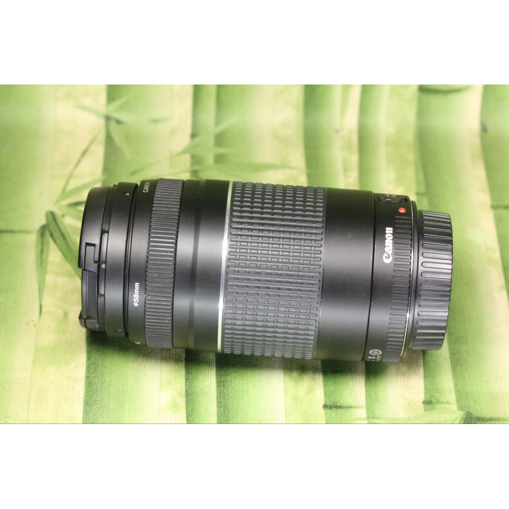 Canon 70 300mm II