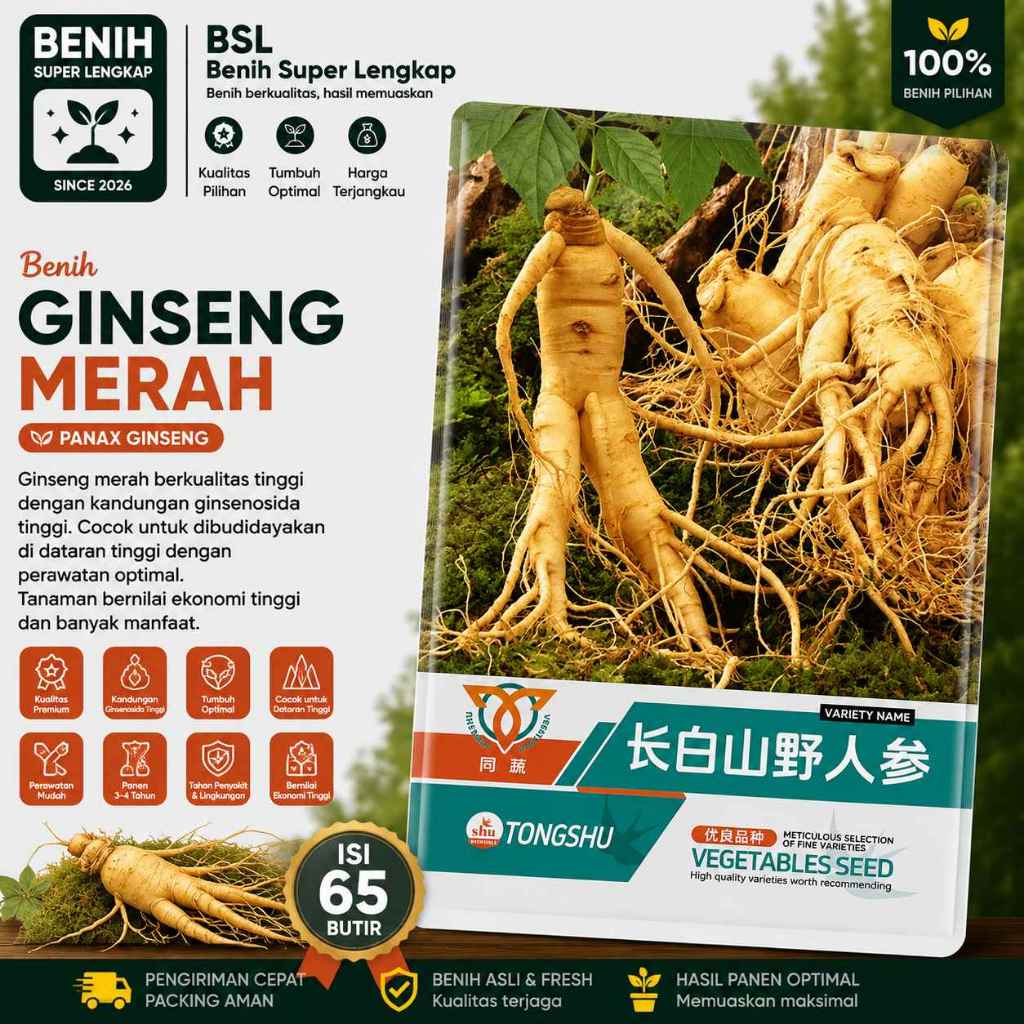 Kemasan Original | Benih Biji Ginseng Merah | Red Ginseng | Panax Ginseng | UKI BIBIT