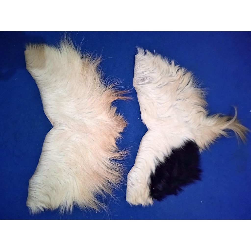 Simbar barongan