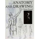 Anatomy and Drawing