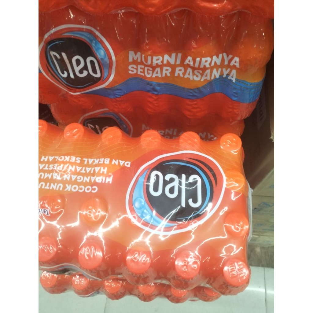 Air Mineral Cleo Mini 24 Botol