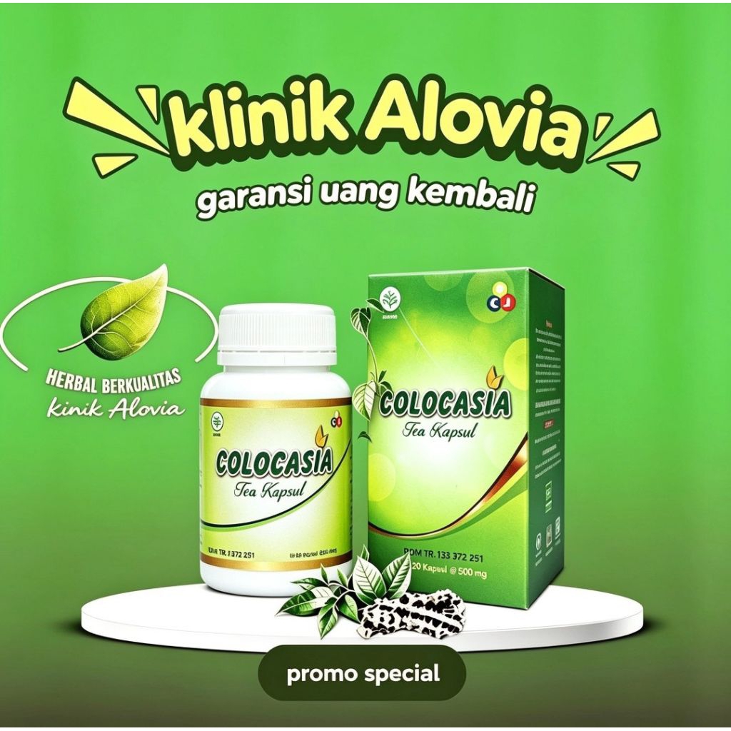 Colocasia Asli COLOCASIA Original Obat Sendi Nyeri Lutut Sendi Tulang Pengapuran Terlaris