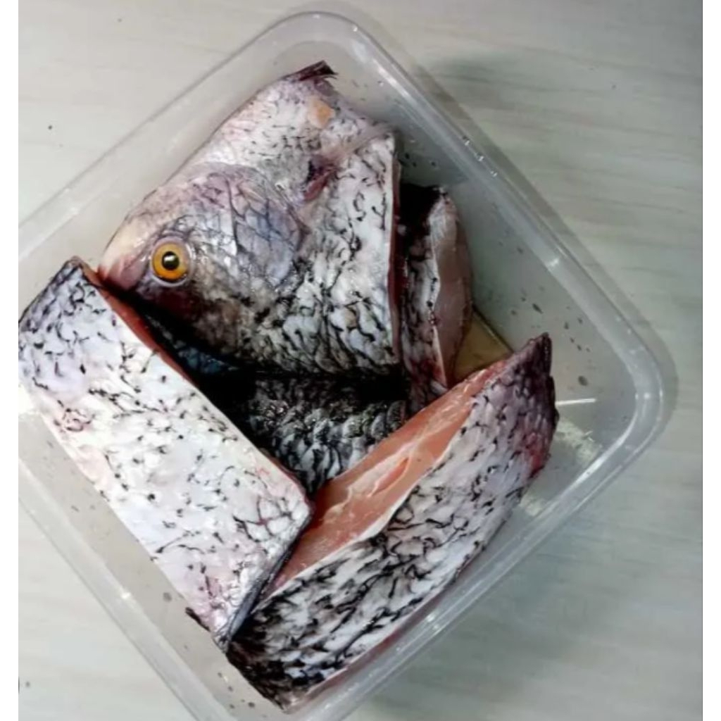 Ikan Gurame fillet