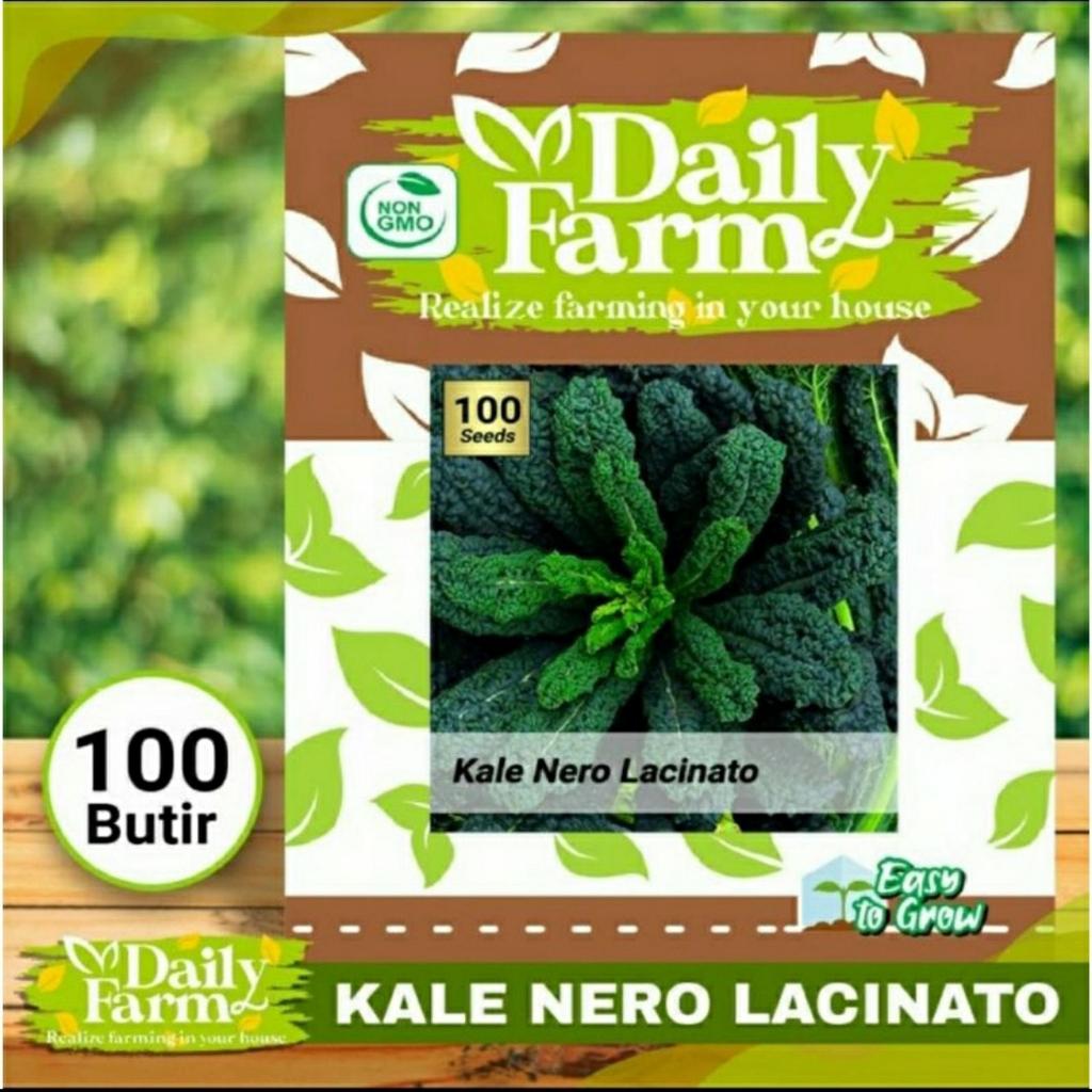 DF Benih Biji Sayur Kale Nero - Kale Lacinato - Kale Nero / Kale Lacinato