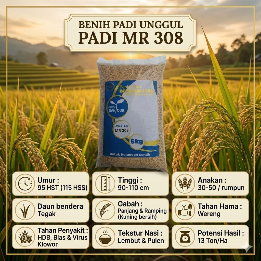 BIBIT | BENIH PADI MR 308 KEMASAN 5KG
