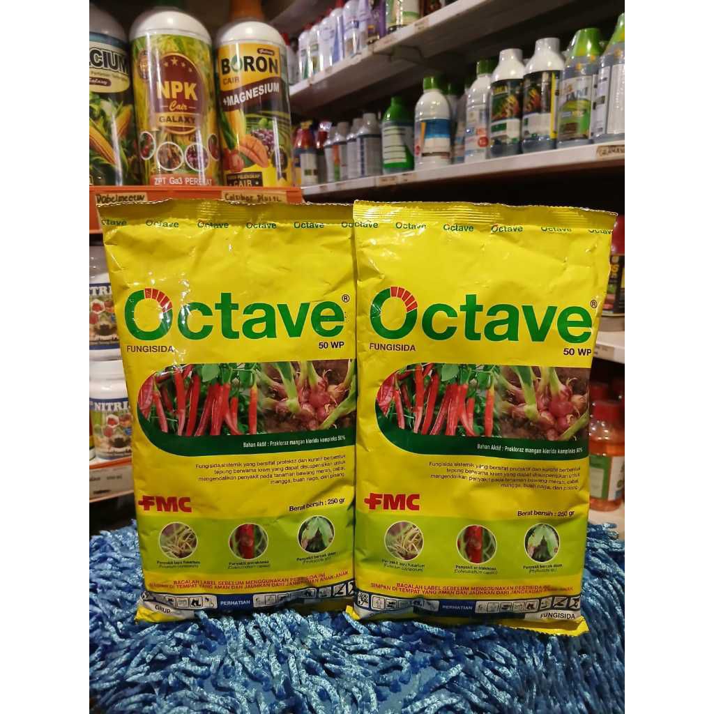 Octave 50 WP