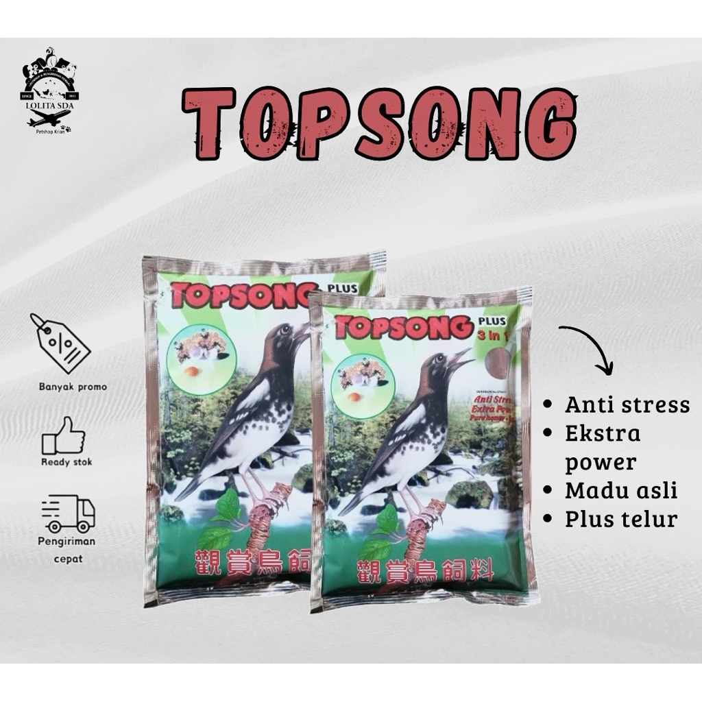 Top Song 3 In 1 Coklat-kuning | voer pakan burung murai kacer pentet cucak ijo burung kecil