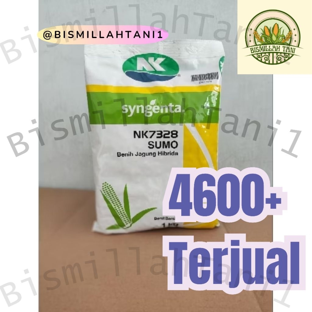 Benih Jagung NK Sumo 1 kg Original - Benih Jagung Sumo Reguler 1kg