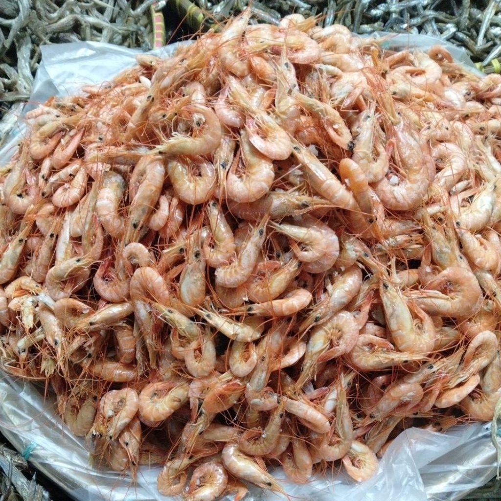 Udang Kering Rebus Tawar