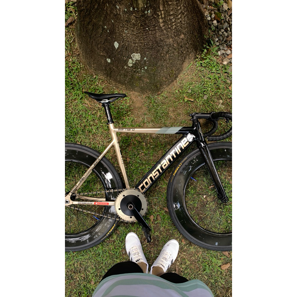 Frameset Constantine Barnard size 51