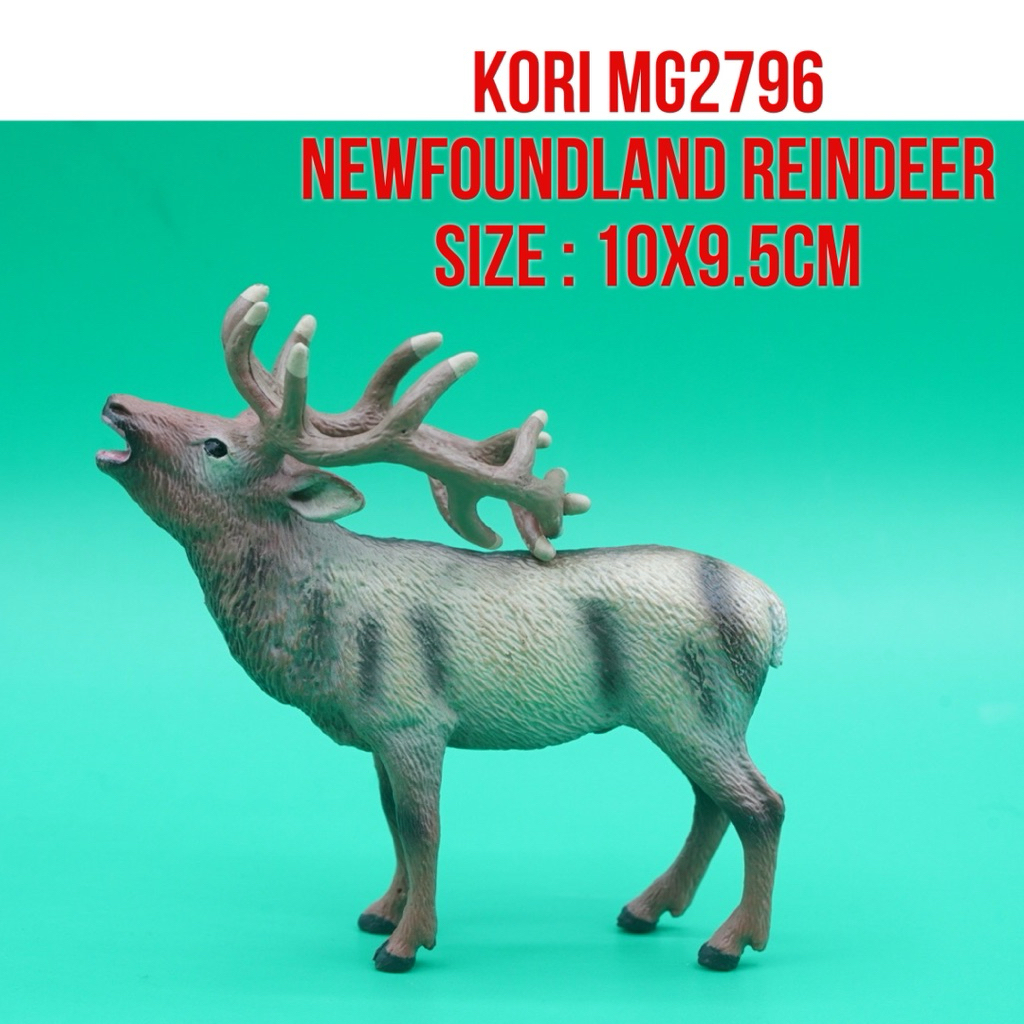 KORI MG2796 Newfoundland Reindeer Caribou Rusa Kutub Karibu Rangifer Tarandus | Mainan Figure Binata