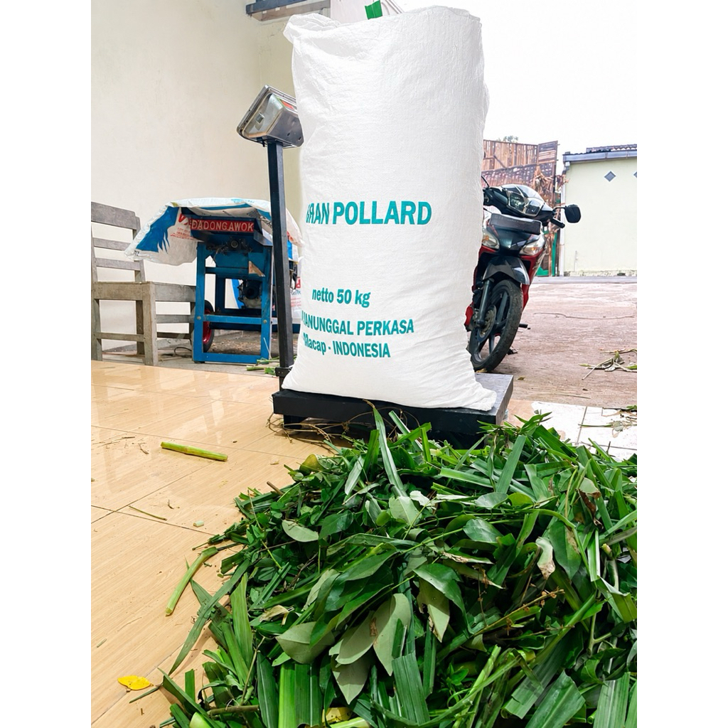 Rumput dan Ramban Indigofera Cacah Kasar