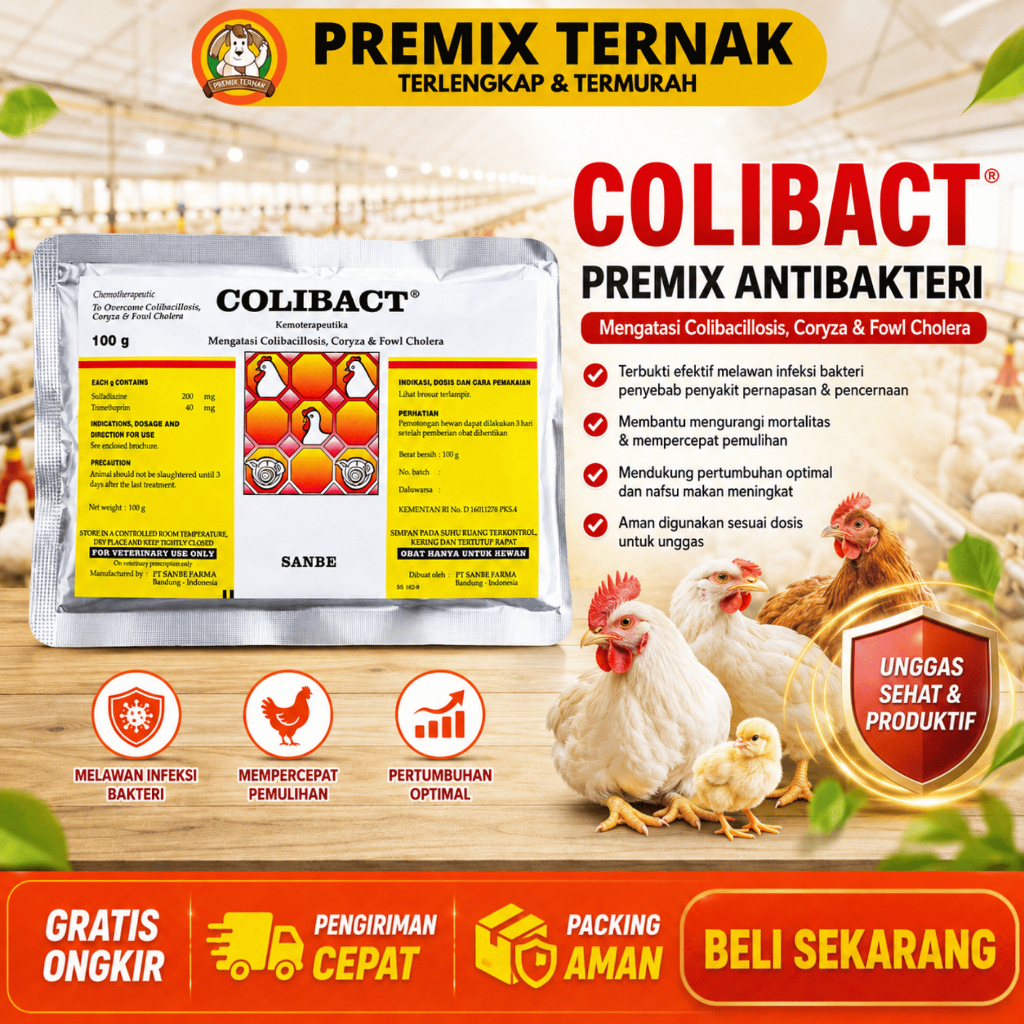 COLIBACT SERBUK 100 GRAM SANBE - Obat Ayam Antibakteri Berdaya Kerja Tinggi Untuk Unggas & Babi