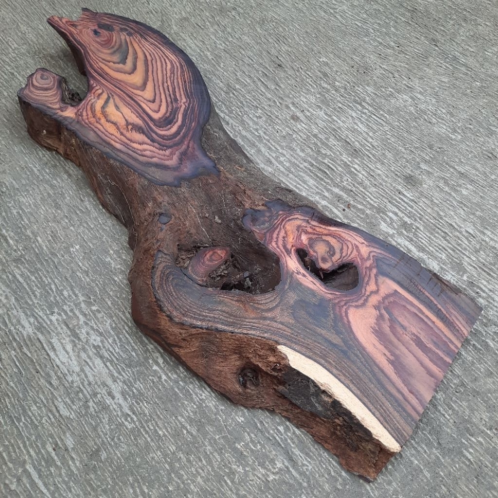 KAYU SONOKELING AKAR ROSEWOOD KS-001
