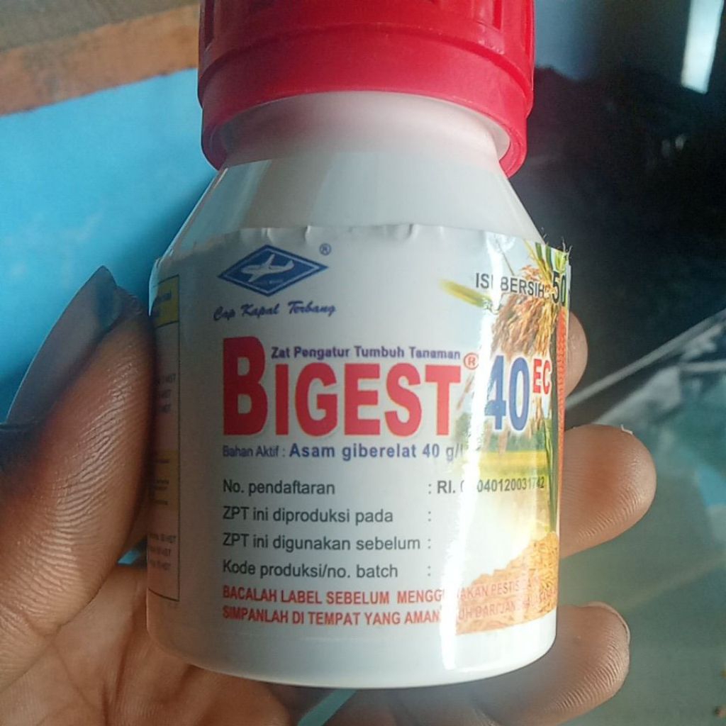 zpt bigest 50ml