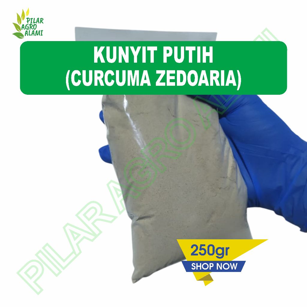 Bubuk kunyit putih 250gr original bermanfaat untuk kesehatan