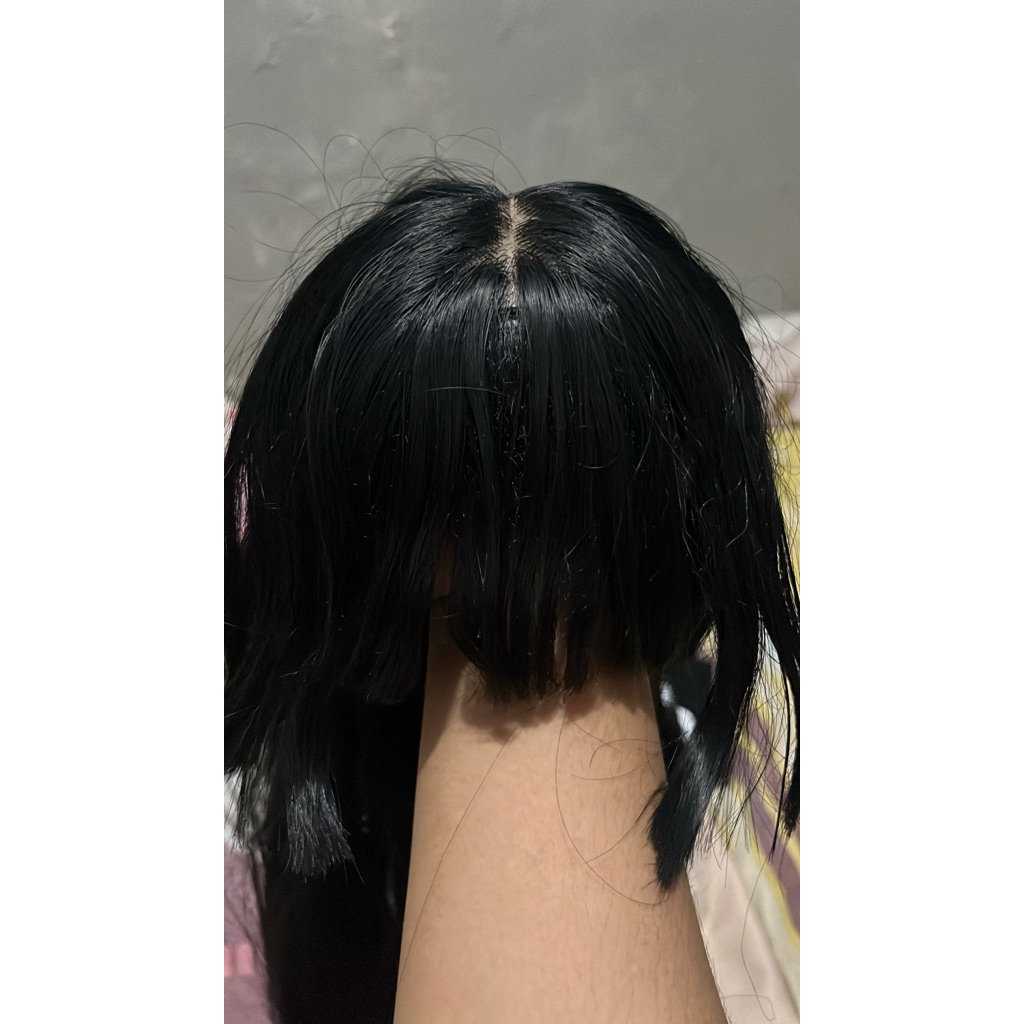wig daily