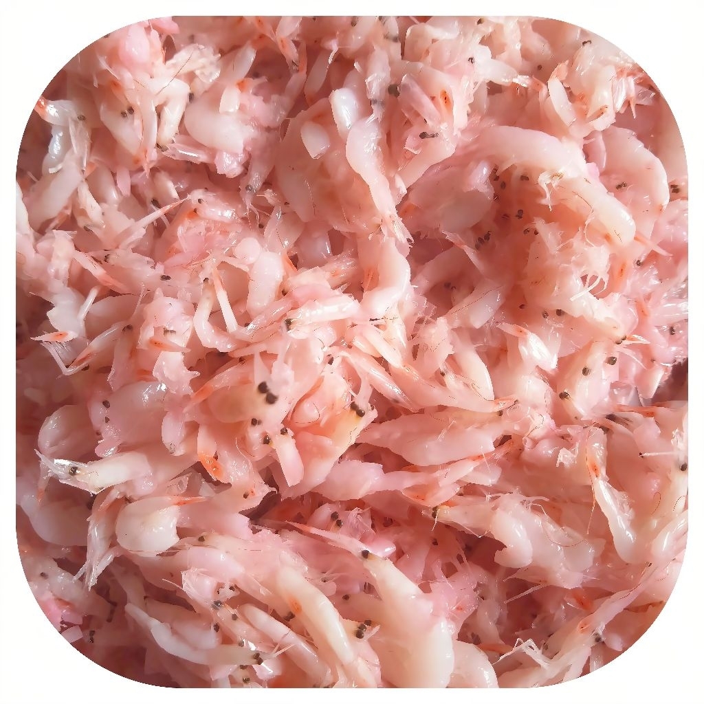 Pedak Udang-Saeujeot/Seajot Udang-Hakoi-Hakoi-Cincalok Udang Pontianak 1kg