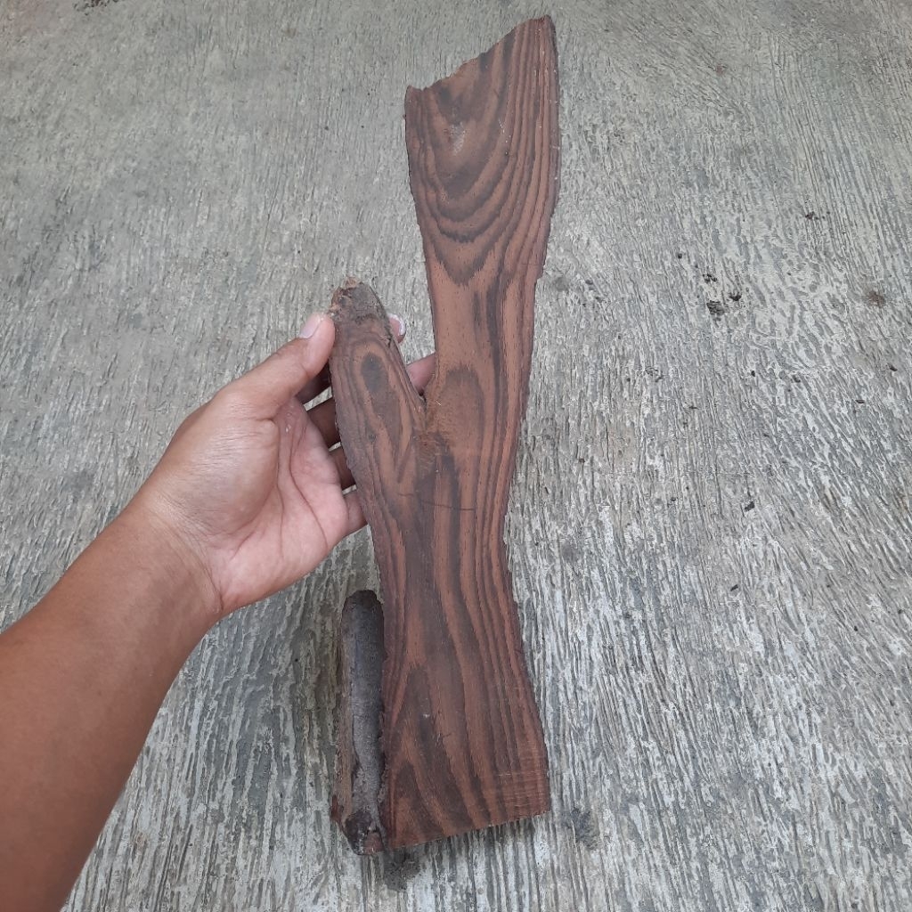 KAYU SONOKELING AKAR ROSEWOOD KS-003