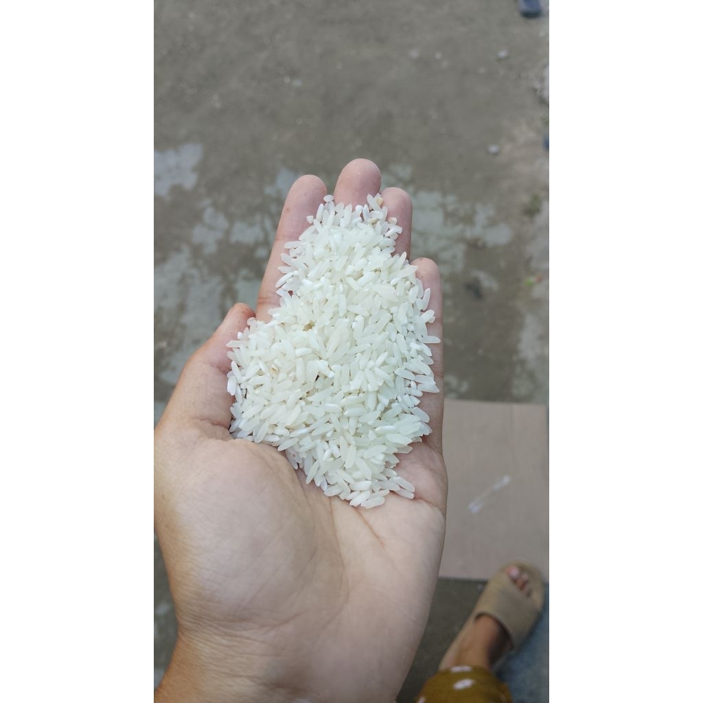 Beras Siam Kupang Hanyar 1 Liter - Segar, Harum Alami, Tanpa Pengawet