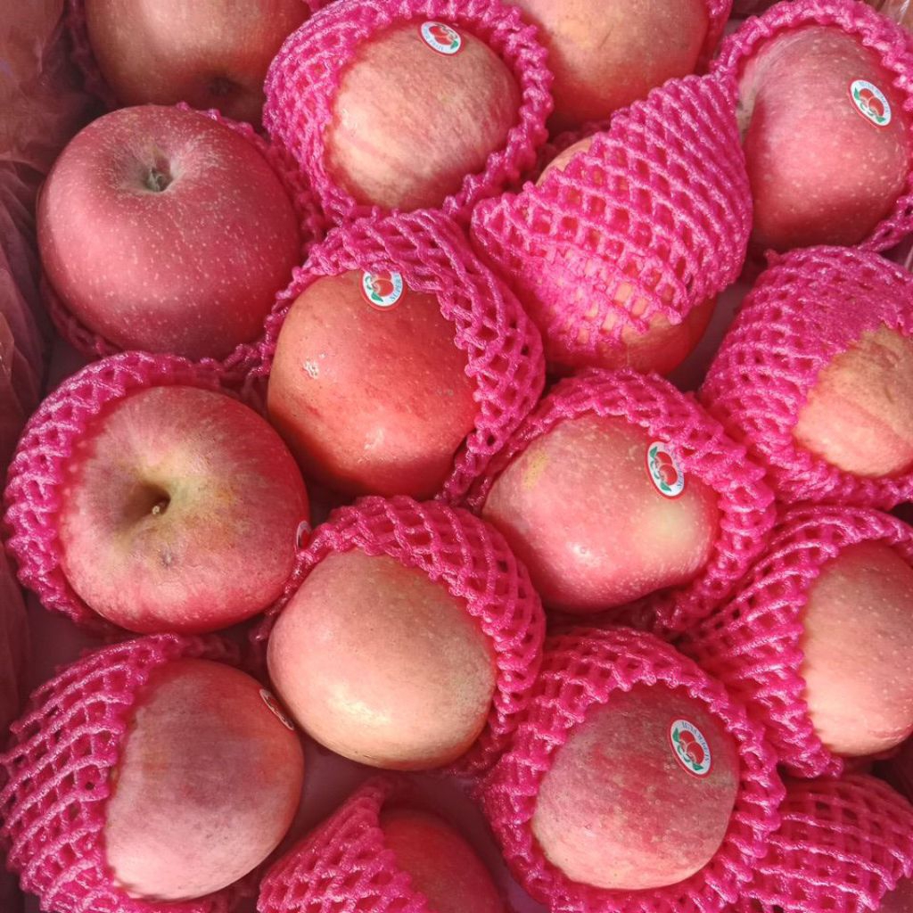 Buah Apel Fuji  Merah Apel Manis