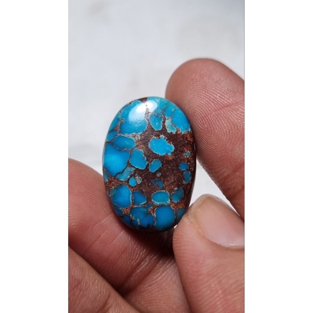 Natural pirus mesir