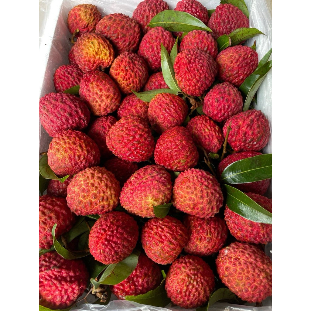 leci merah madu manis fresh