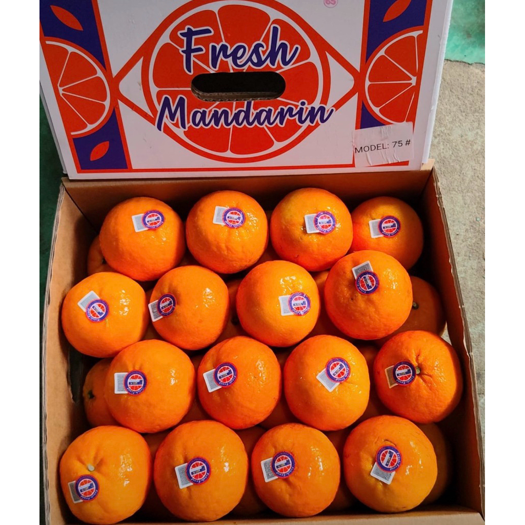 Jeruk Wogan Mandarin 9kg