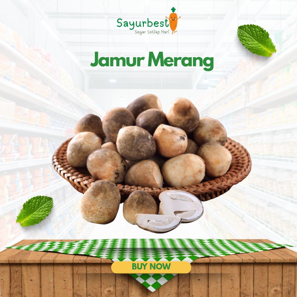Jamur Merang