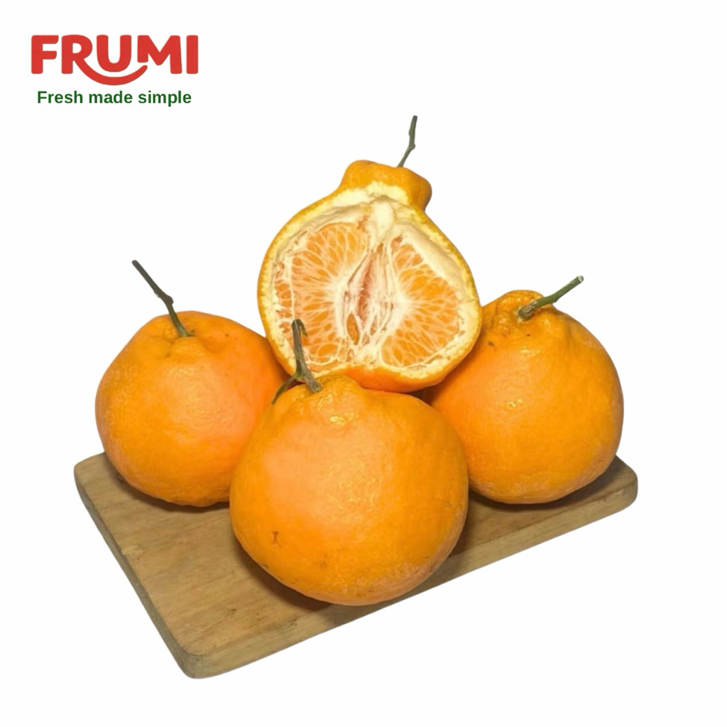 Buah Jeruk Dekopon Sumo Papagan Chun Jian Mandarin Premium