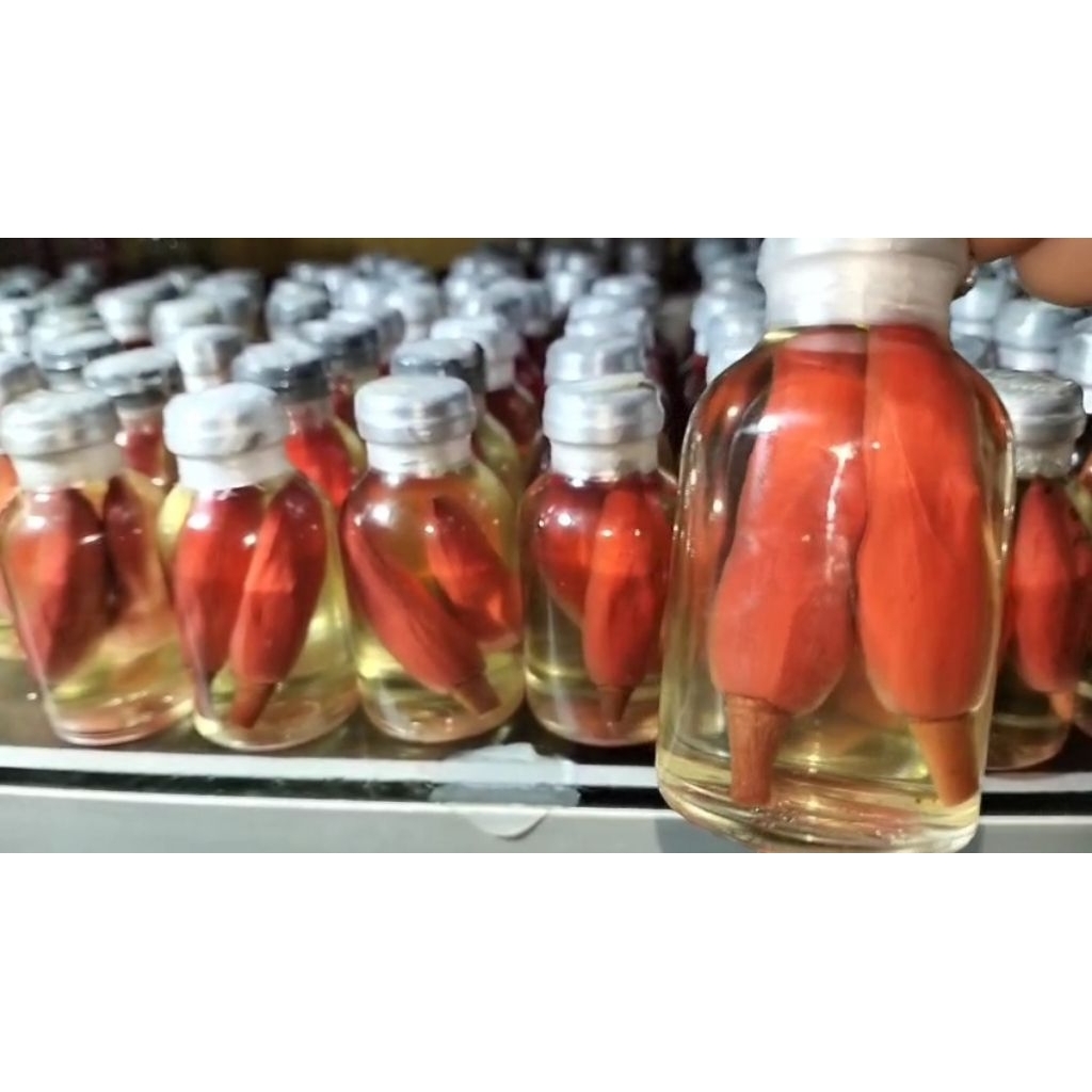 Bunga kantil merah segar isi 2